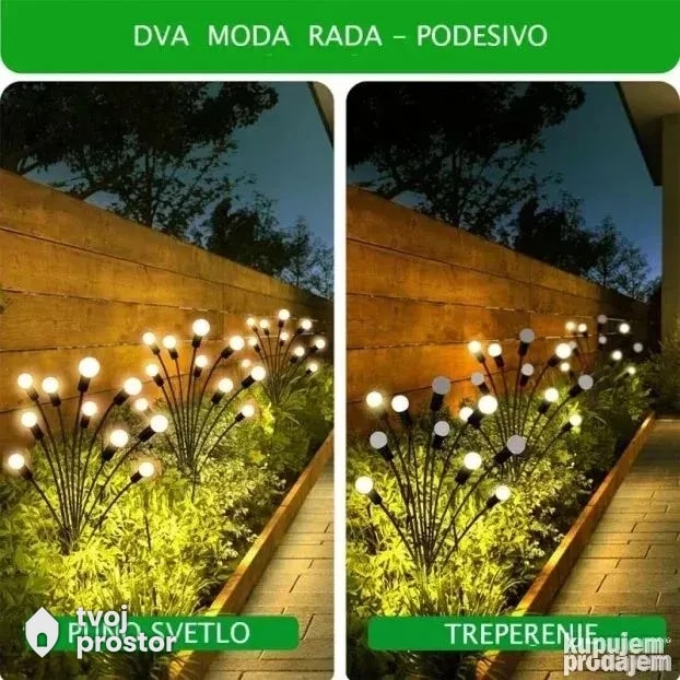 Buket lampi — slike i dekoracija, Mungosi, Beograd
