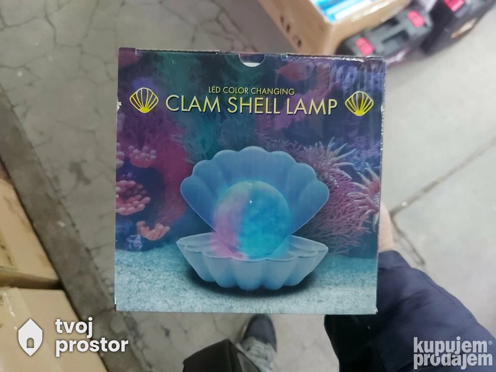Lampa skoljka — unutrašnja rasveta, Mungosi, Beograd